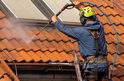 Démoussage et hydrofuge de toiture à Bessas